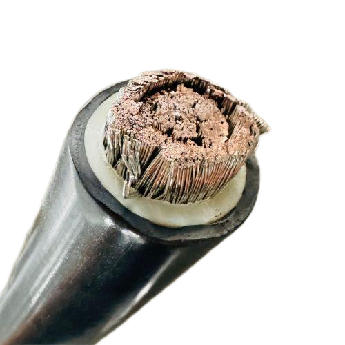 ����max(�й���)���޹�˾����