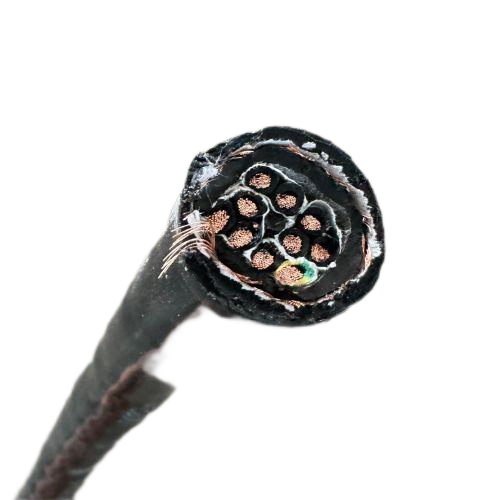 ����max(�й���)���޹�˾����