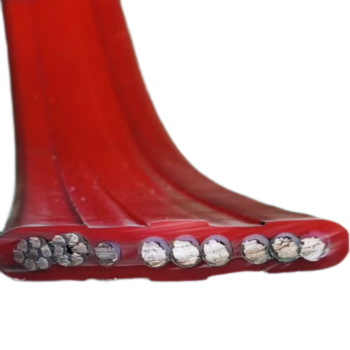 ����max(�й���)���޹�˾����