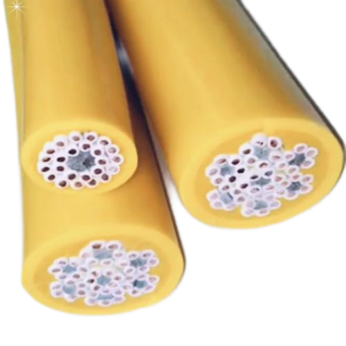 ����max(�й���)���޹�˾����