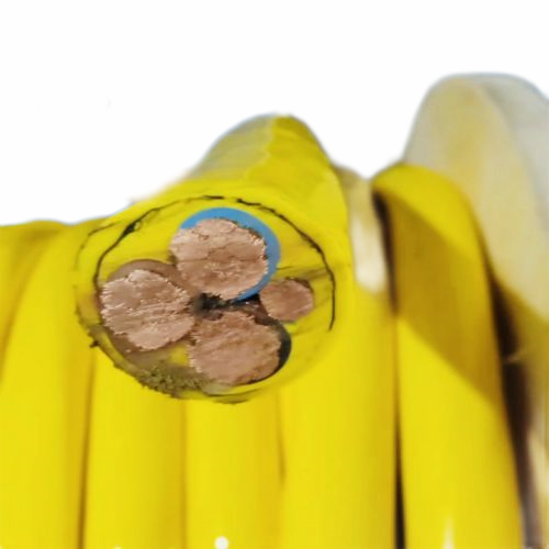 ����max(�й���)���޹�˾����