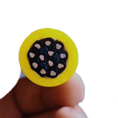 ����max(�й���)���޹�˾����