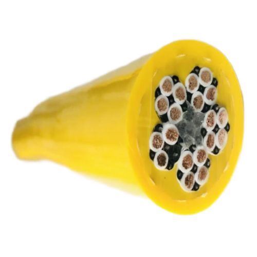 ����max(�й���)���޹�˾����