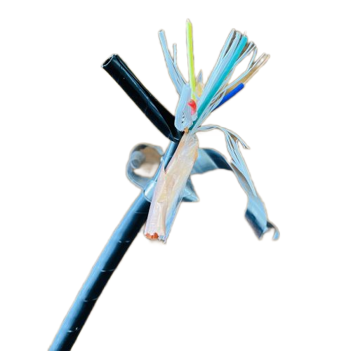 ����max(�й���)���޹�˾����