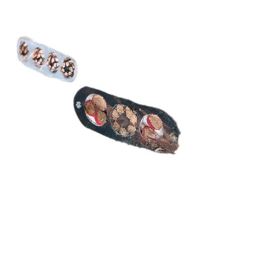 ����max(�й���)���޹�˾����