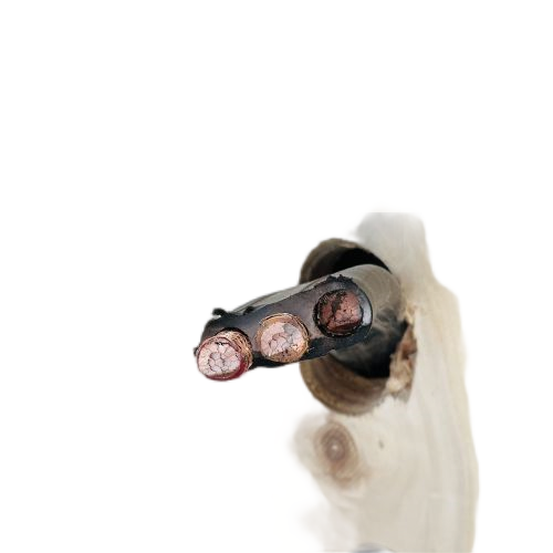 狗万·max(中国游)有限公司官网