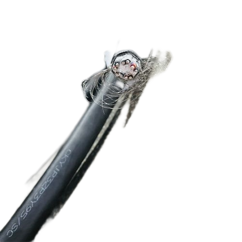 狗万·max(中国游)有限公司官网