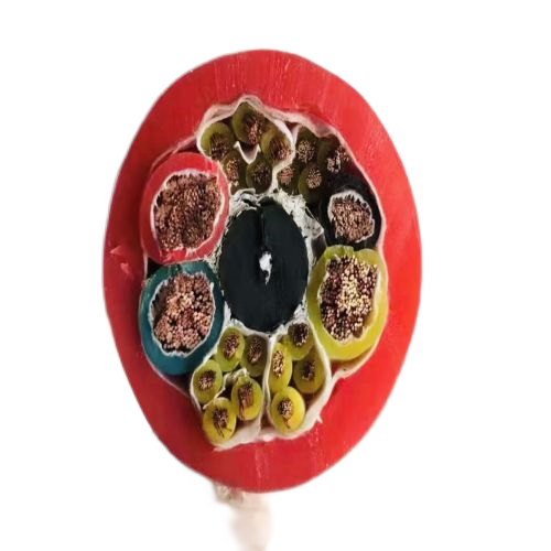 ����max(�й���)���޹�˾����