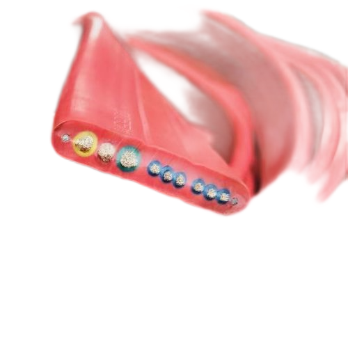 ����max(�й���)���޹�˾����