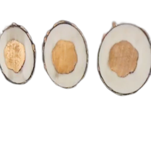 狗万·max(中国游)有限公司官网