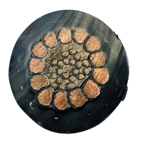 狗万·max(中国游)有限公司官网