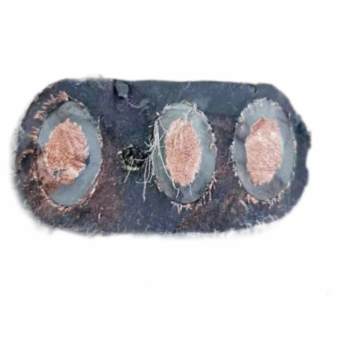 狗万·max(中国游)有限公司官网