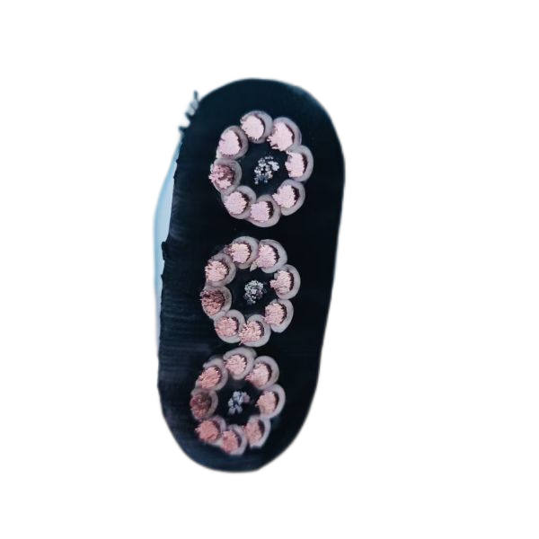 ����max(�й���)���޹�˾����