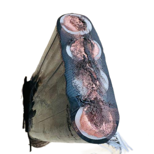 狗万·max(中国游)有限公司官网