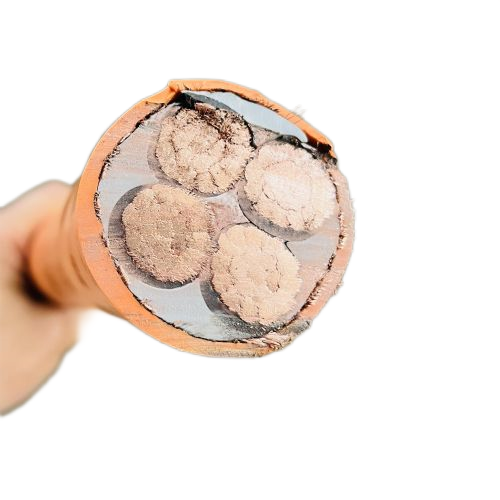 狗万·max(中国游)有限公司官网