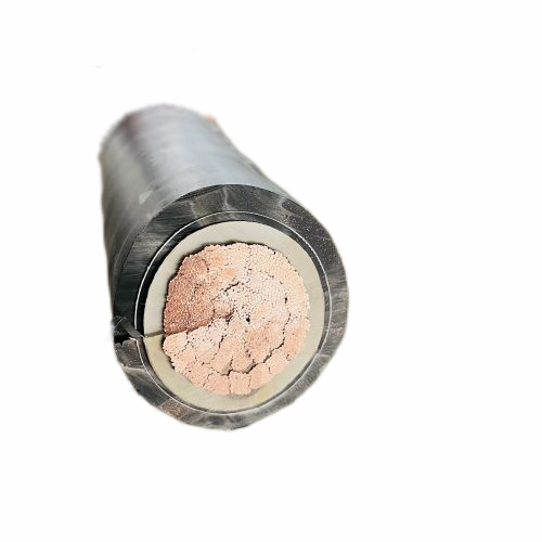 ����max(�й���)���޹�˾����