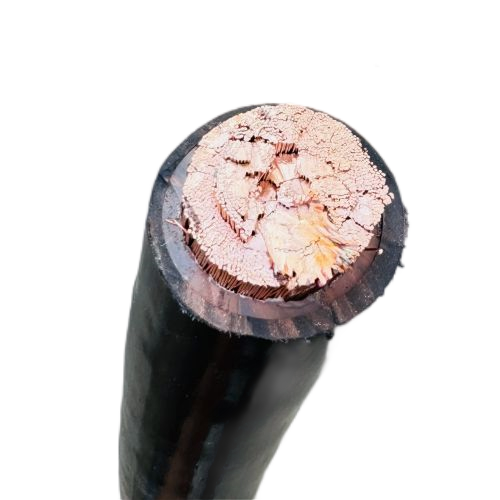 ����max(�й���)���޹�˾����