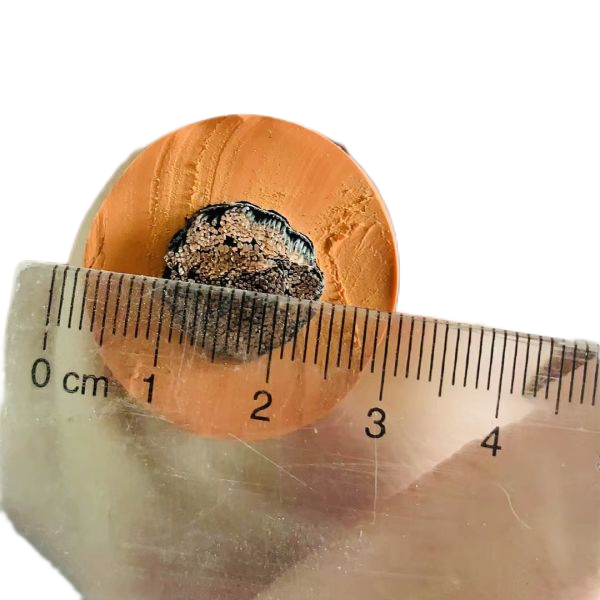 狗万·max(中国游)有限公司官网