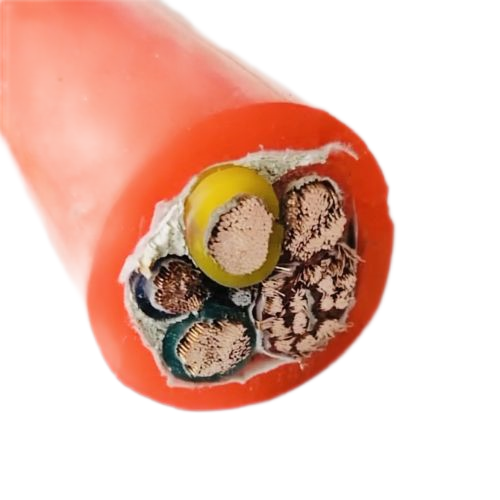 ����max(�й���)���޹�˾����