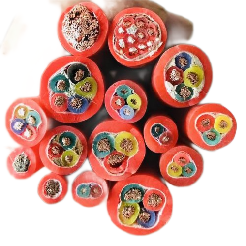 狗万·max(中国游)有限公司官网