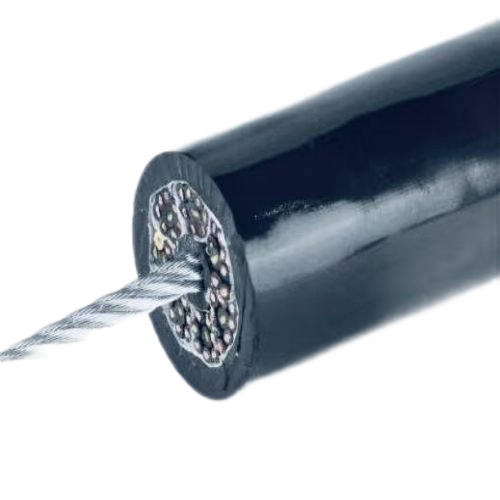 ����max(�й���)���޹�˾����