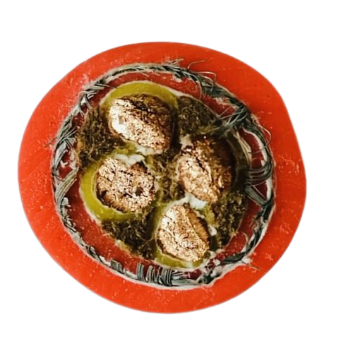 狗万·max(中国游)有限公司官网