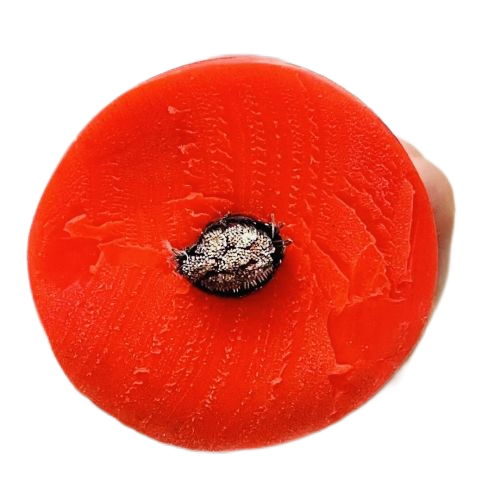 狗万·max(中国游)有限公司官网