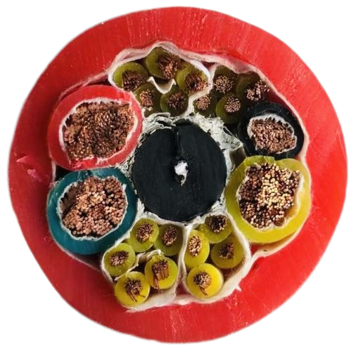 狗万·max(中国游)有限公司官网