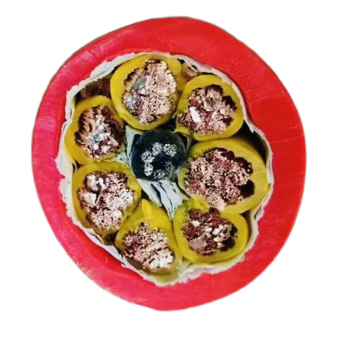 ����max(�й���)���޹�˾����