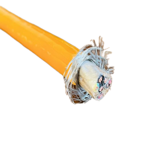 ����max(�й���)���޹�˾����