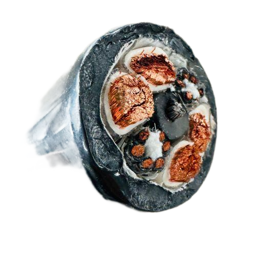 ����max(�й���)���޹�˾����