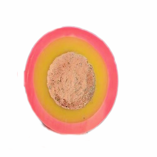 ����max(�й���)���޹�˾����