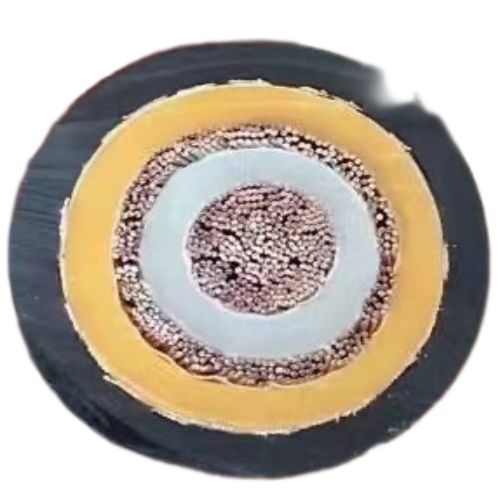 ����max(�й���)���޹�˾����