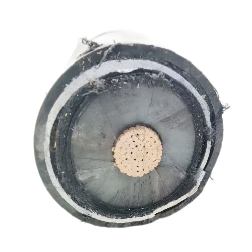 ����max(�й���)���޹�˾����