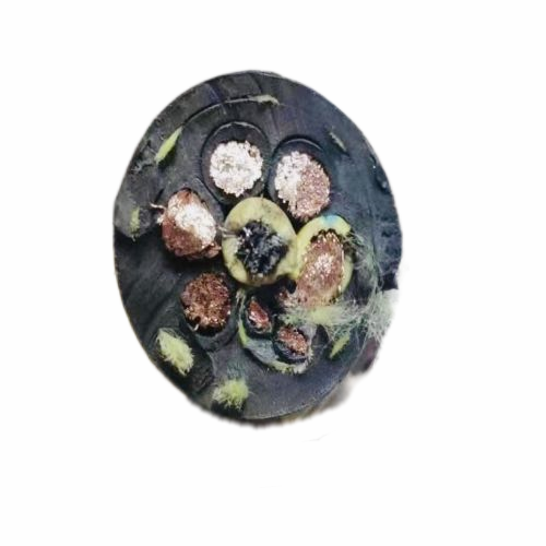 狗万·max(中国游)有限公司官网