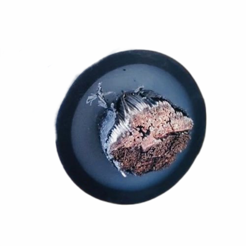 ����max(�й���)���޹�˾����