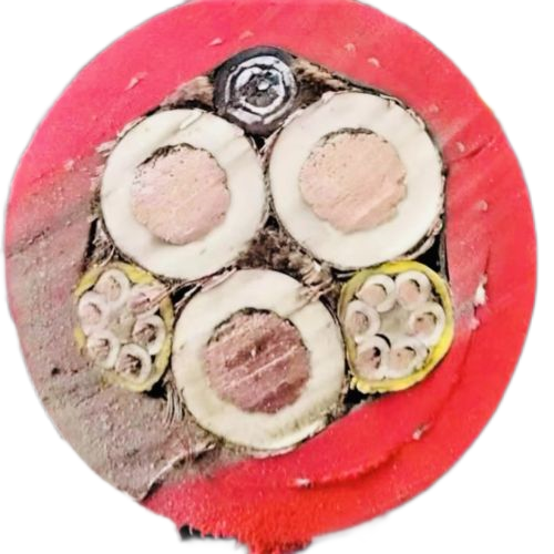 狗万·max(中国游)有限公司官网