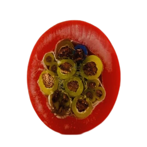 ����max(�й���)���޹�˾����