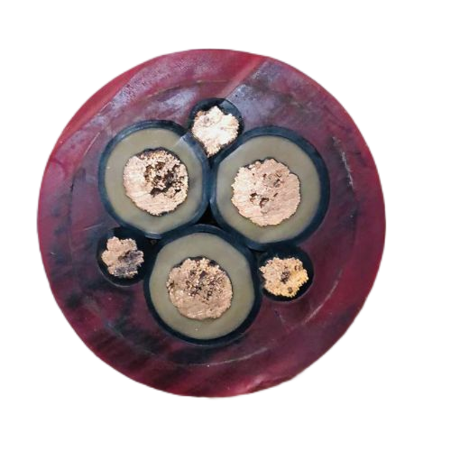 ����max(�й���)���޹�˾����