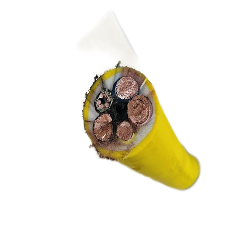 ����max(�й���)���޹�˾����