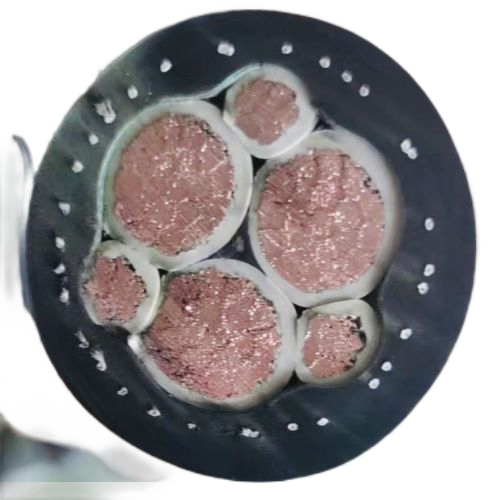 ����max(�й���)���޹�˾����