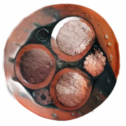 ����max(�й���)���޹�˾����