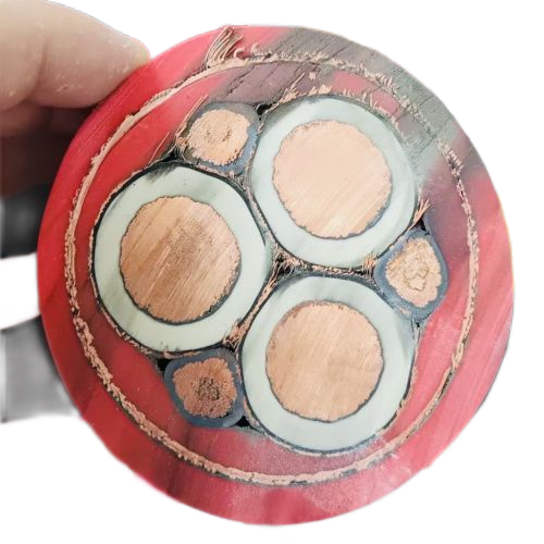 ����max(�й���)���޹�˾����