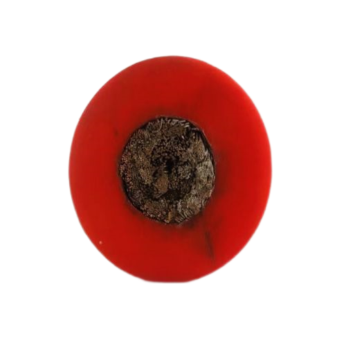 狗万·max(中国游)有限公司官网